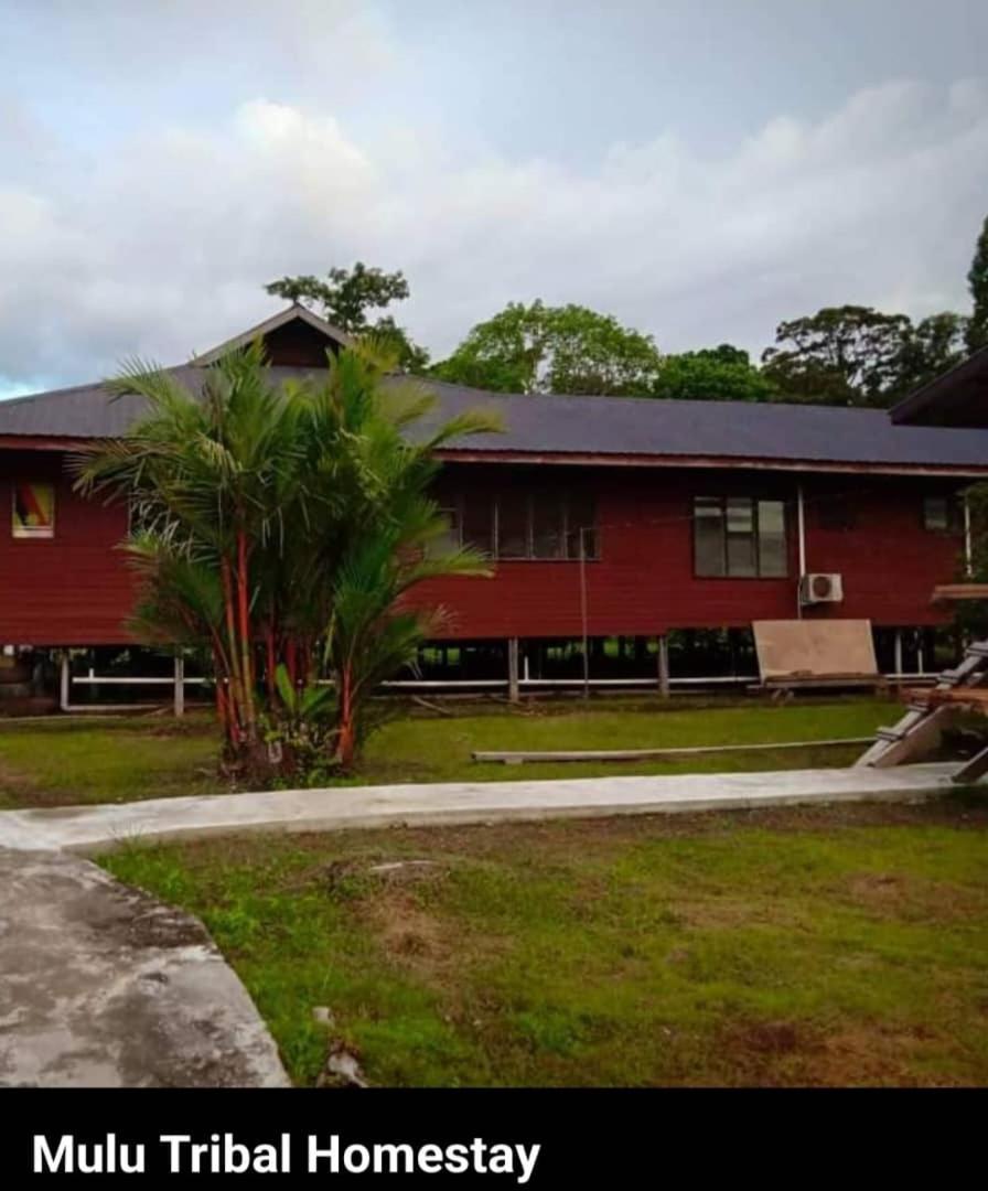 Mulu Tribal Homestay Dış mekan fotoğraf